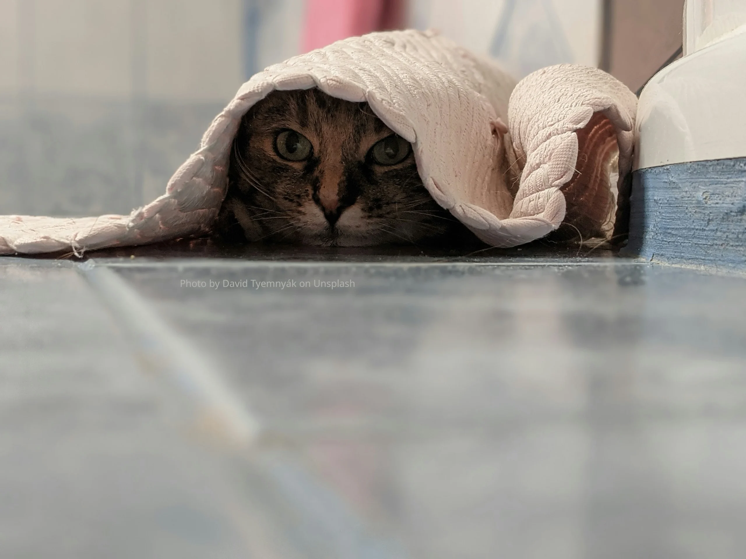 The Most Important Sentence